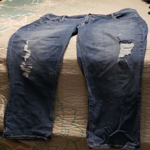 Lane Bryant  Jeans